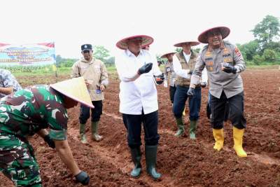 Perkuat Ketahanan Pangan, Bupati dan Unsur Forkopimda Gelar Tanam Raya Jagung Hibrida Serentak di Desa Ranca Iyuh&nbsp;&nbsp;